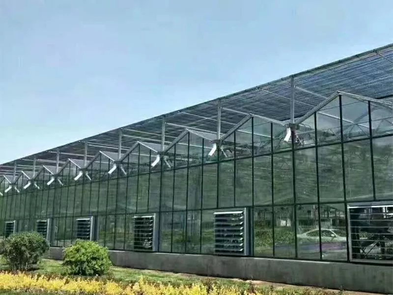 Kakve se usjeve mogu uzgajati na čeličnoj vertikalnoj farmi?